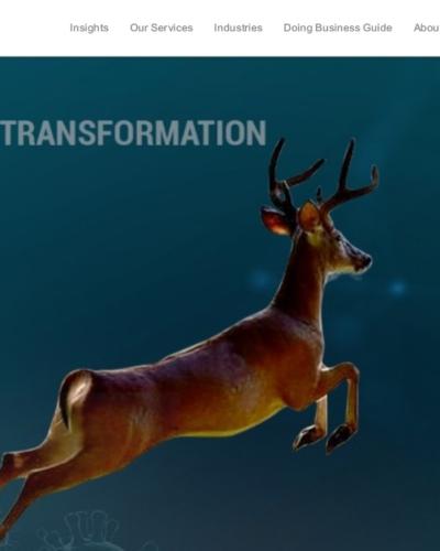 Crafting a Professional Website for Reanda Biz Serve